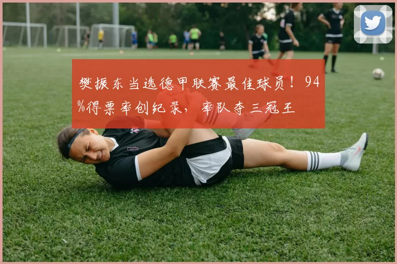 樊振东当选德甲联赛最佳球员!94%得票率创纪录,率队夺三冠王