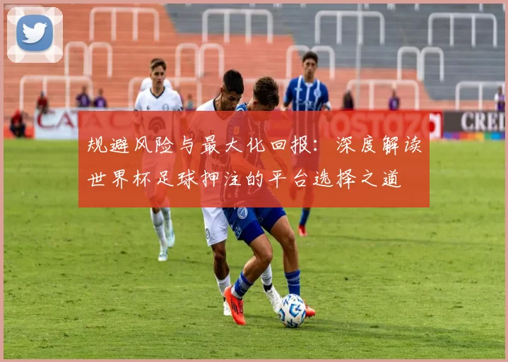 规避风险与最大化回报：深度解读世界杯足球押注的平台选择之道