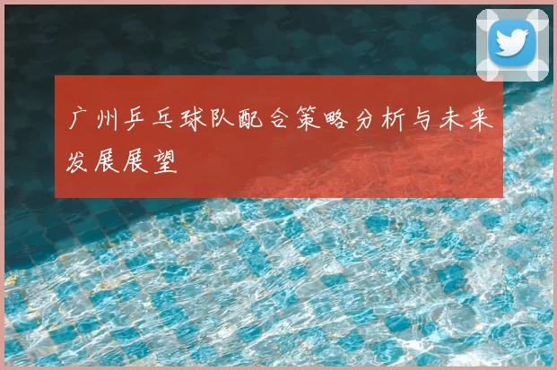 广州乒乓球队配合策略分析与未来发展展望