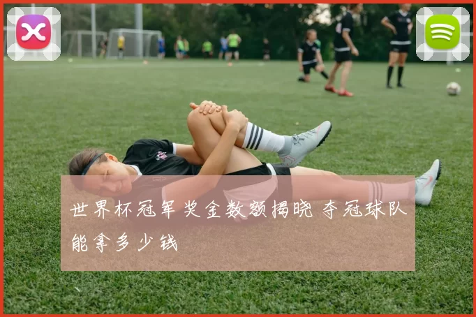 世界杯冠军奖金数额揭晓 夺冠球队能拿多少钱