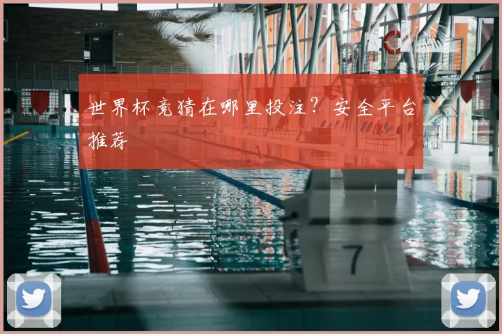 世界杯竞猜在哪里投注？安全平台推荐