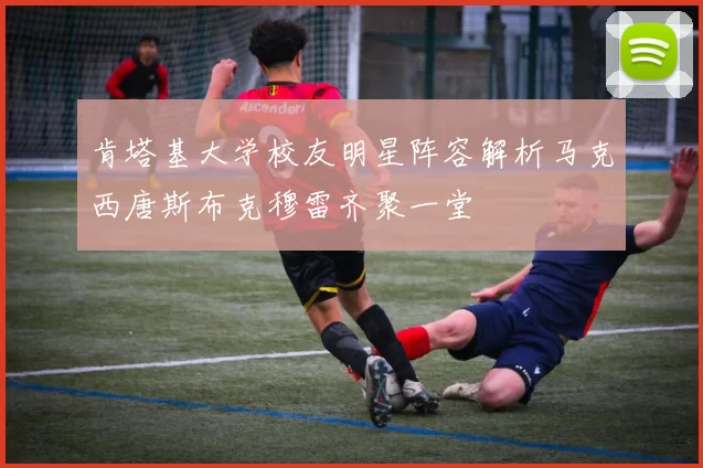 肯塔基大学校友明星阵容解析马克西唐斯布克穆雷齐聚一堂