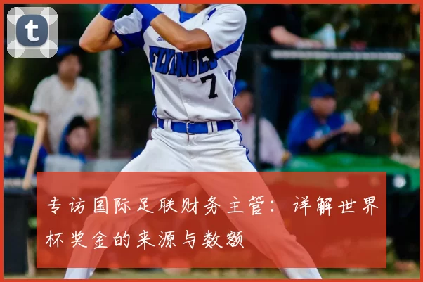专访国际足联财务主管:详解世界杯奖金的来源与数额