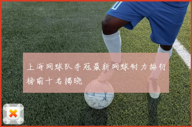 上海网球队夺冠最新网球耐力排行榜前十名揭晓