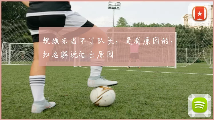 樊振东当不了队长,是有原因的,知名解说给出原因
