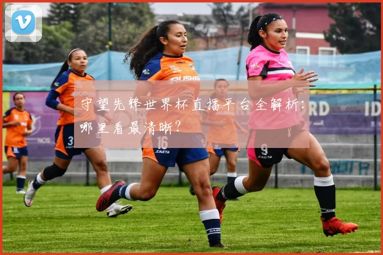守望先锋世界杯直播平台全解析:哪里看最清晰?