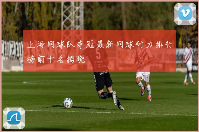 上海网球队夺冠最新网球耐力排行榜前十名揭晓