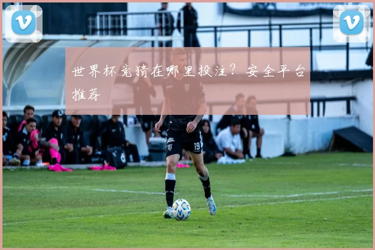 世界杯竞猜在哪里投注？安全平台推荐