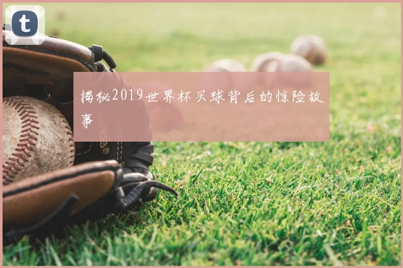 揭秘2019世界杯买球背后的惊险故事