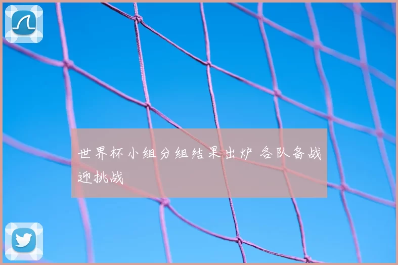 世界杯小组分组结果出炉 各队备战迎挑战