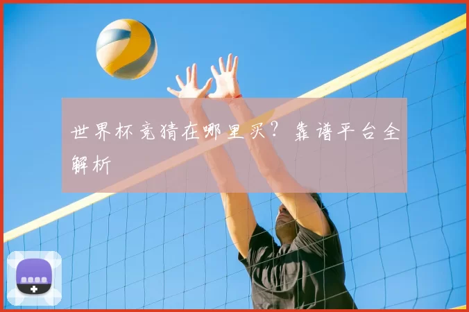 世界杯竞猜在哪里买?靠谱平台全解析